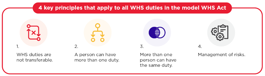 4 WHS principles, and the duty to consult, cooperate and coordinate with other duty holders